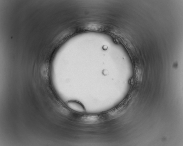 X0000116840665201001081500