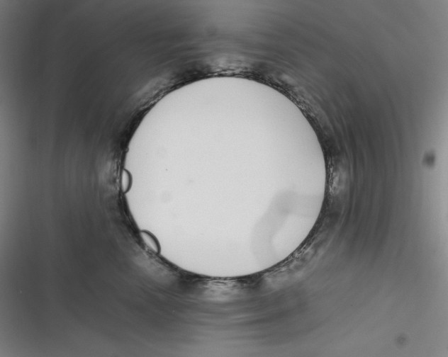 X0000116840666201001081500