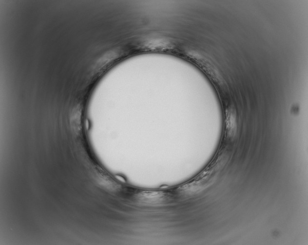 X0000116840668201001081500