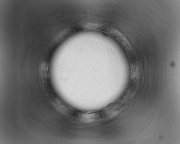 X0000116840669201001081500