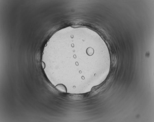 X0000116840670201001081500