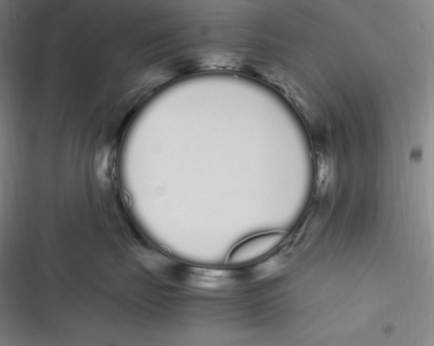 X0000116840671201001081500