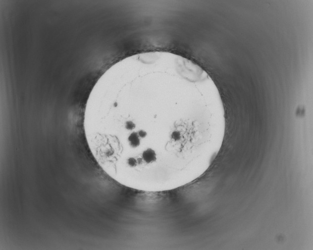 X0000116840672201001081500