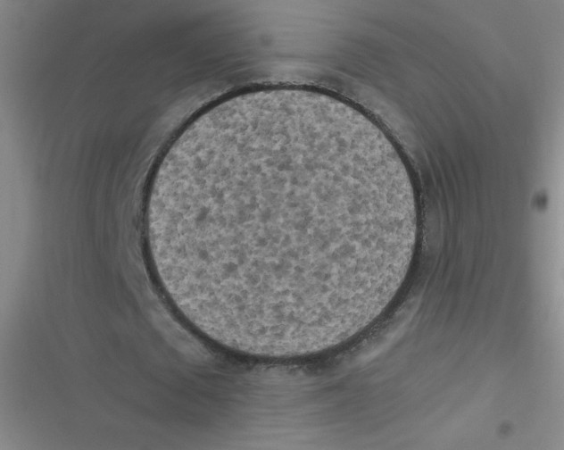 X0000116840673201001081459