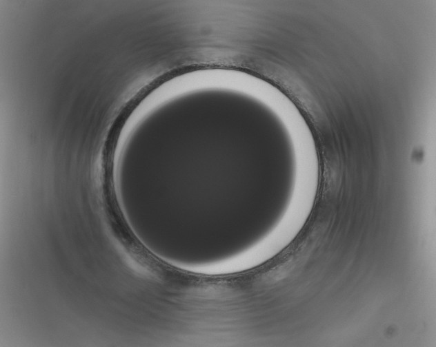 X0000116840674201001081459