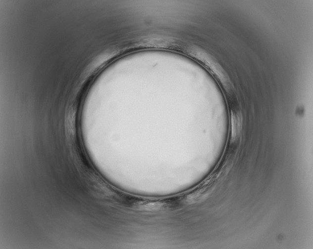 X0000116840675201001081459