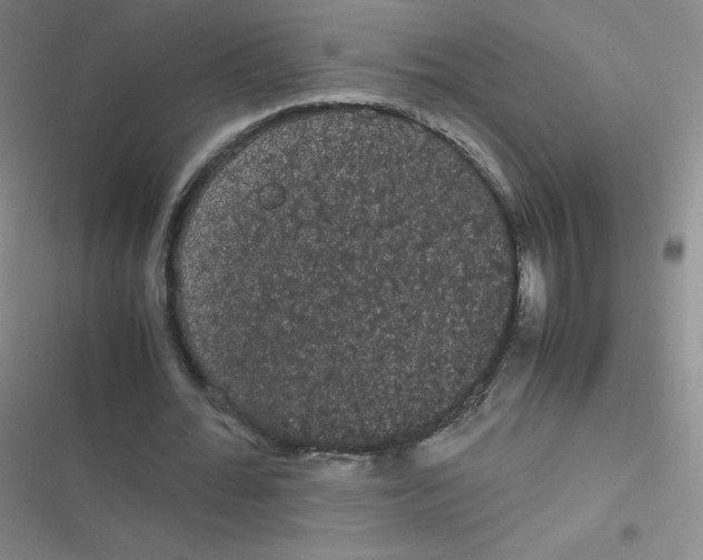 X0000116840676201001081459