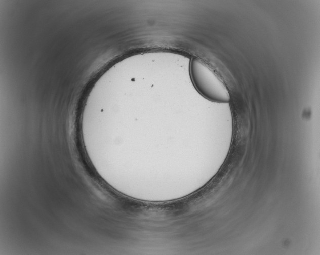 X0000116840677201001081459