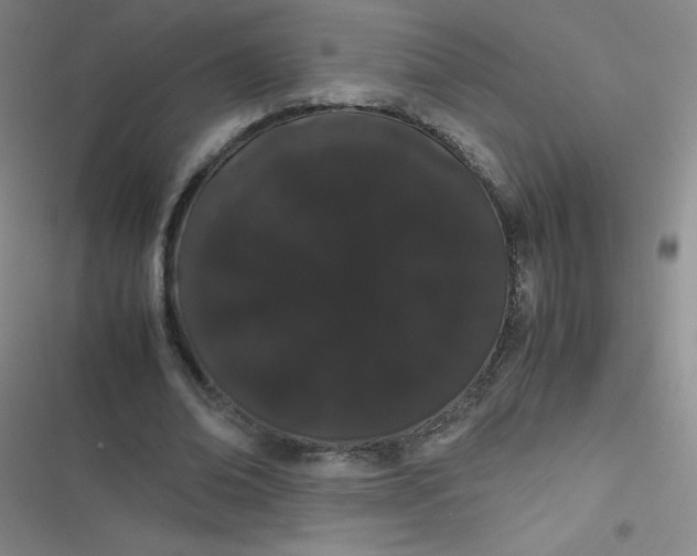 X0000116840678201001081459