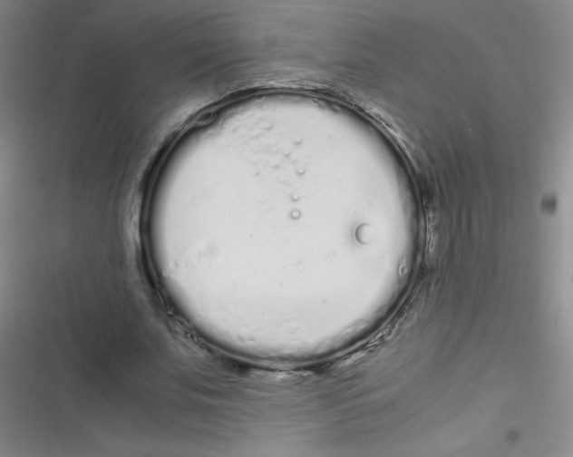 X0000116840679201001081459