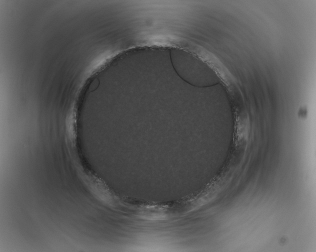 X0000116840680201001081459