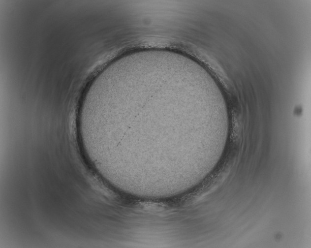 X0000116840681201001081459