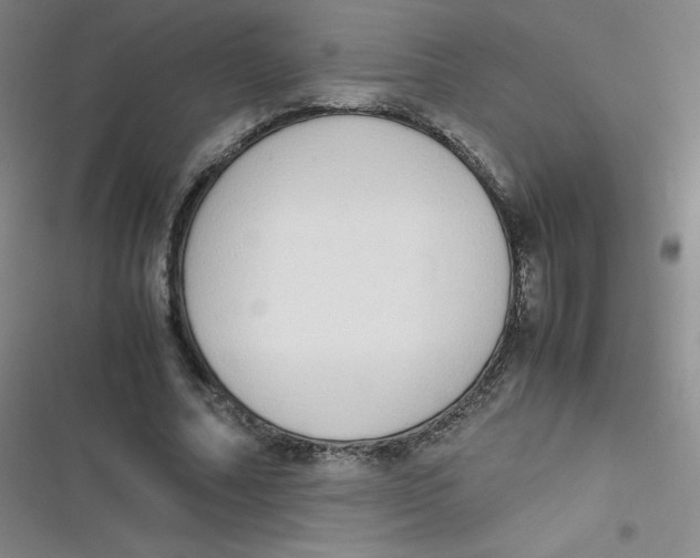 X0000116840682201001081459