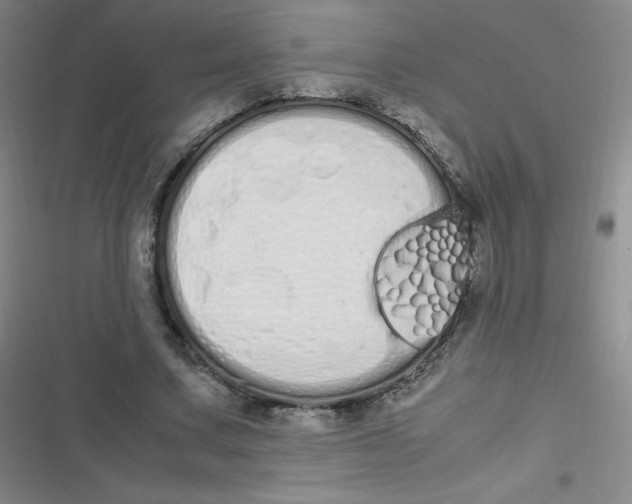 X0000116840683201001081459