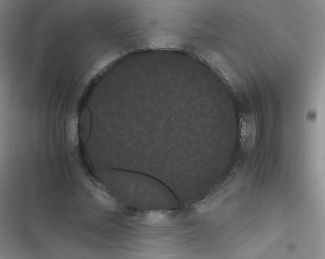 X0000116840684201001081459