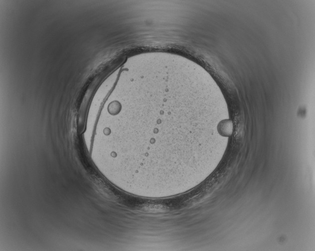 X0000116840685201001081459