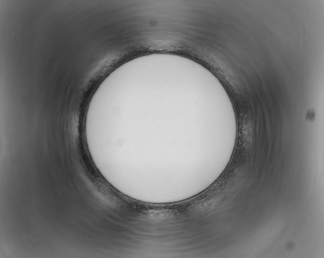 X0000116840686201001081459