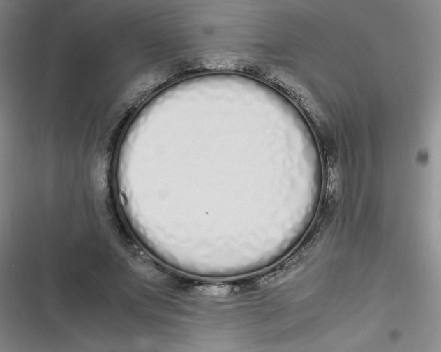 X0000116840687201001081459