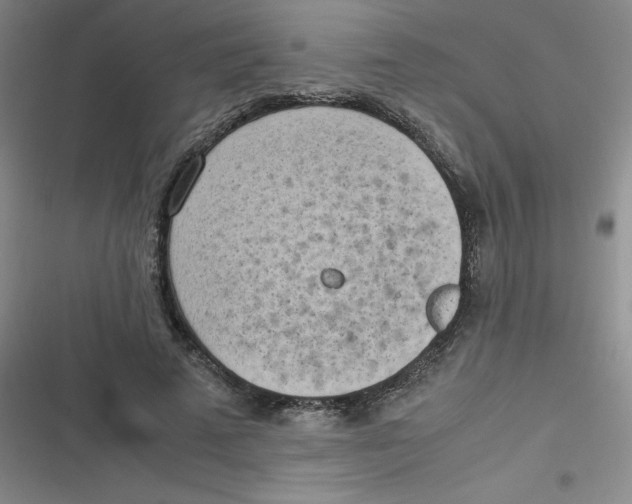 X0000116840689201001081459