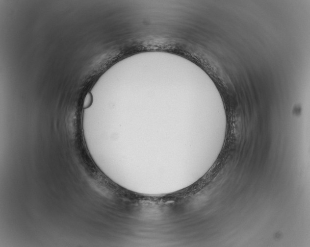 X0000116840690201001081459