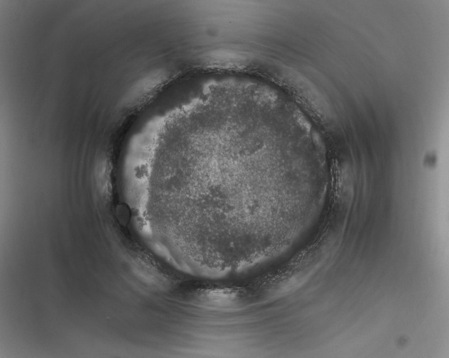 X0000116840692201001081459