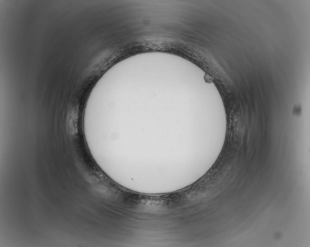 X0000116840694201001081459