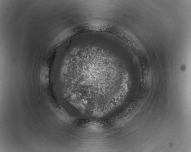 X0000116840696201001081459