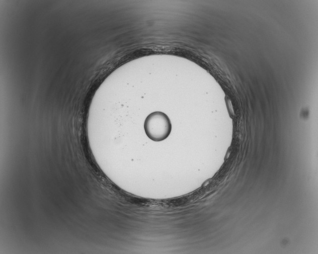 X0000116840697201001081459