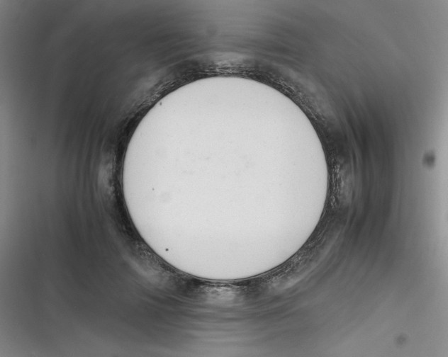 X0000116840698201001081459