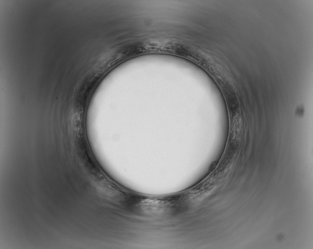 X0000116840699201001081459