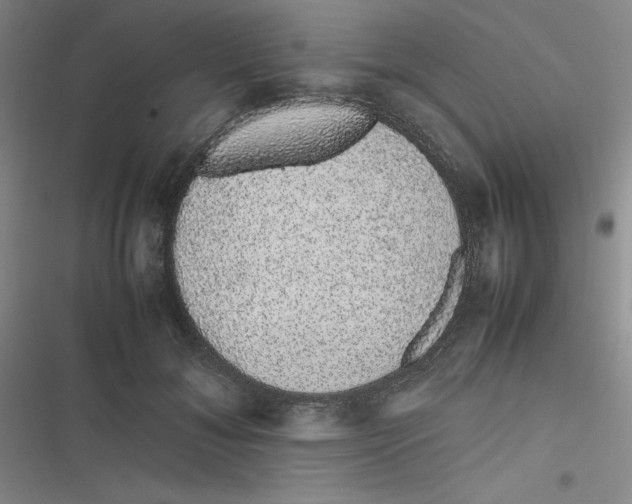 X0000116840700201001081459