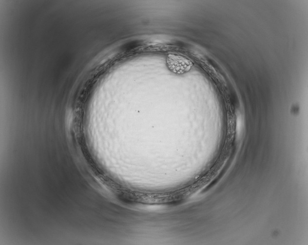 X0000116840701201001081459