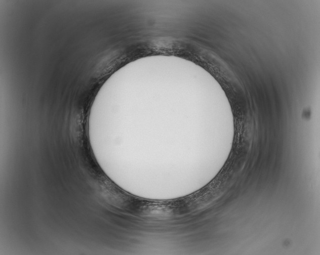 X0000116840702201001081459