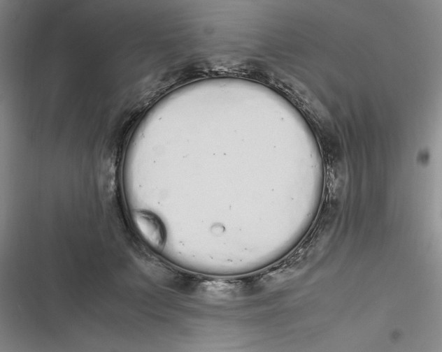 X0000116840703201001081459