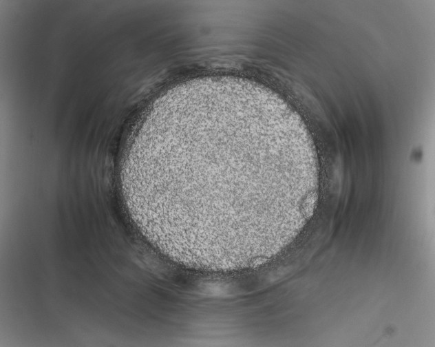 X0000116840704201001081459