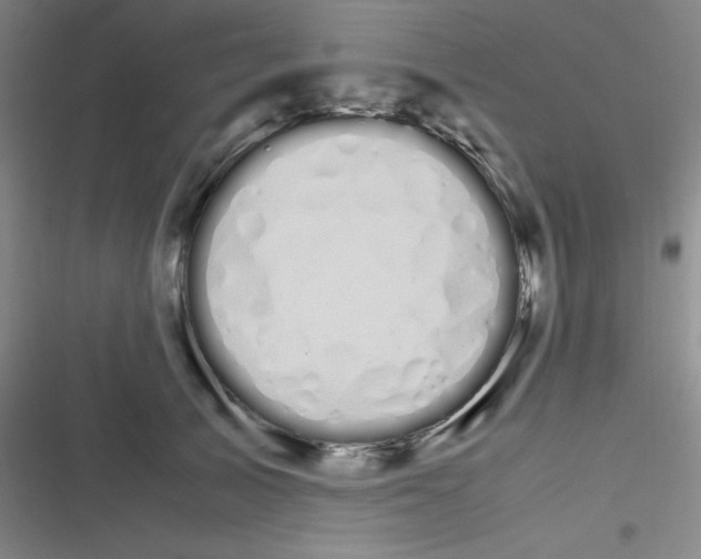 X0000116840705201001081459