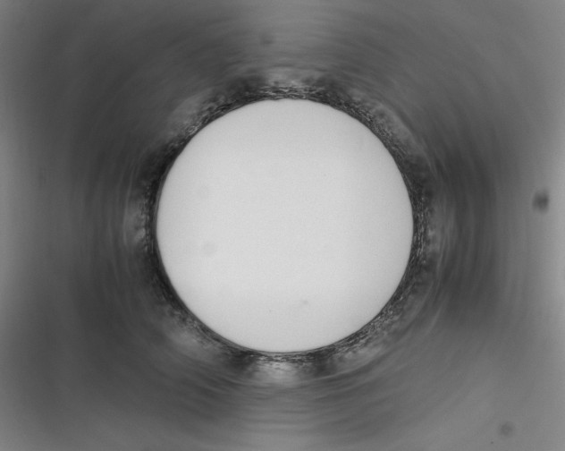 X0000116840706201001081459