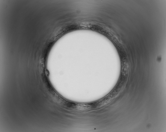 X0000116840707201001081459