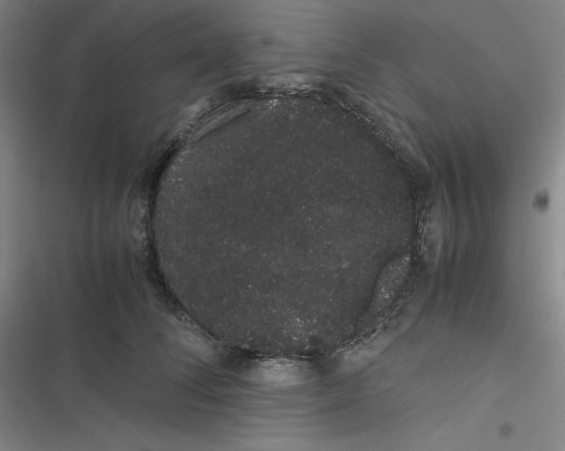 X0000116840708201001081459