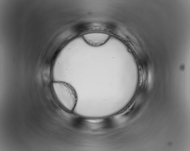 X0000116840709201001081459