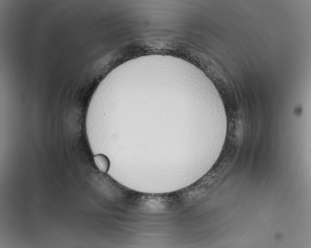 X0000116840710201001081459