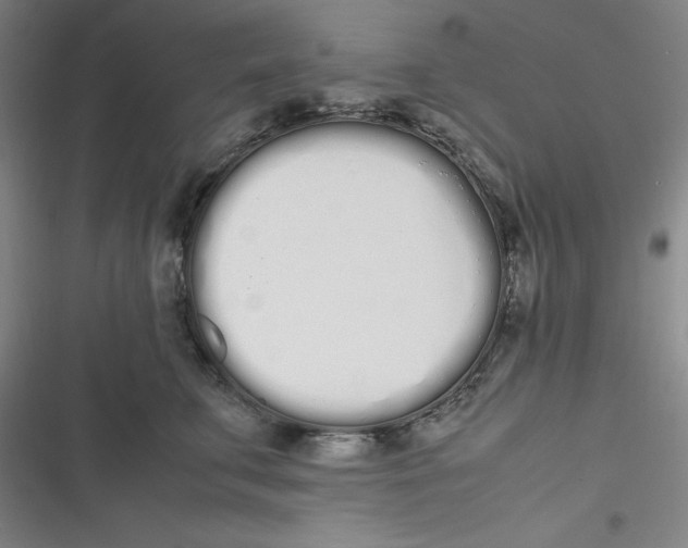 X0000116840711201001081459