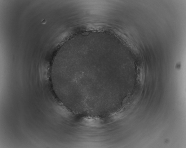 X0000116840712201001081459