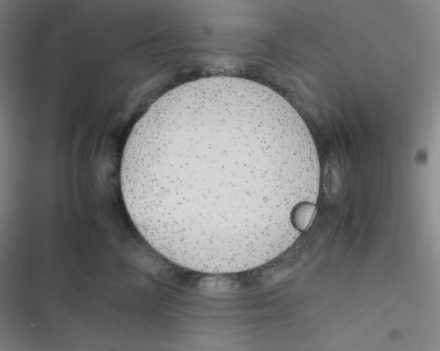 X0000116840714201001081458