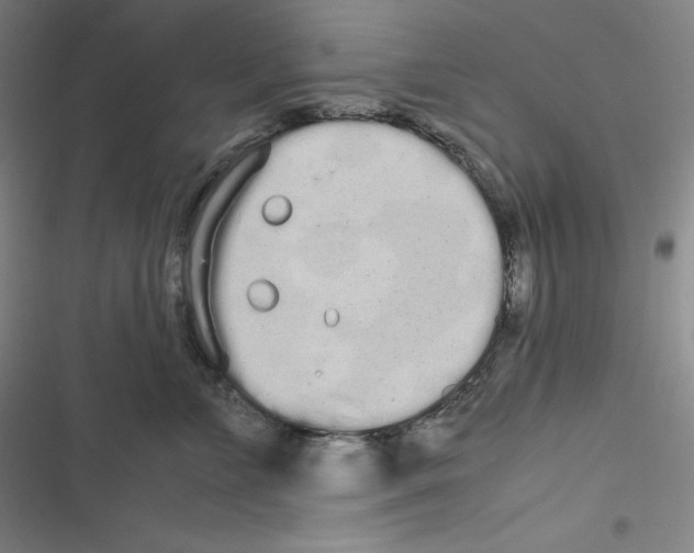 X0000116840715201001081458