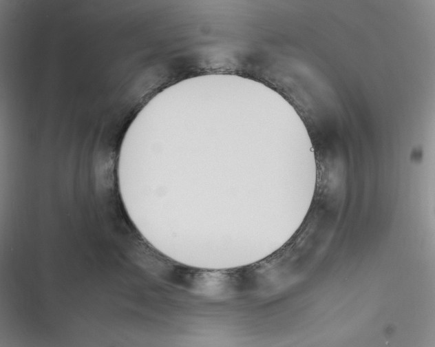 X0000116840717201001081458