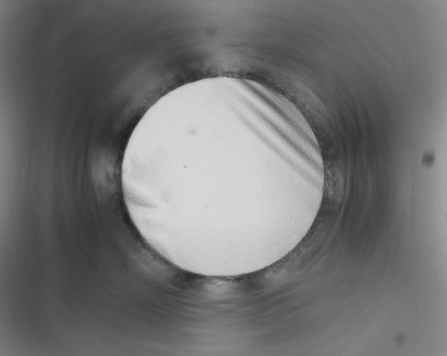 X0000116840718201001081458