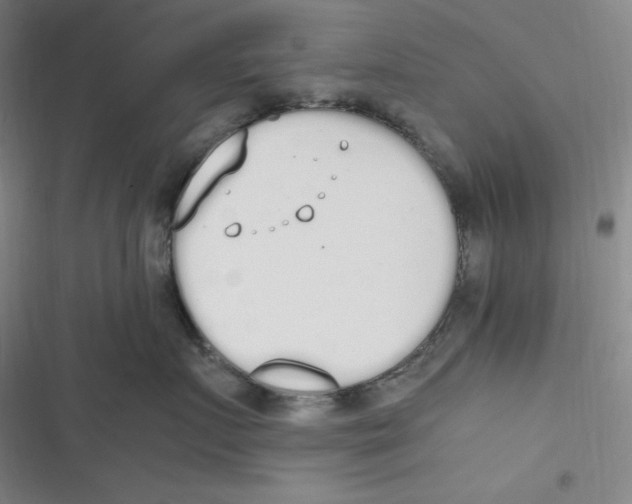 X0000116840719201001081458