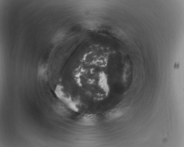 X0000116840720201001081458