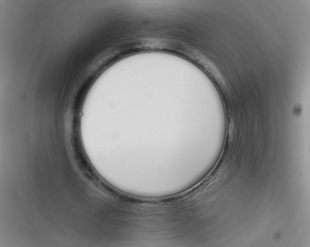 X0000116840722201001081458